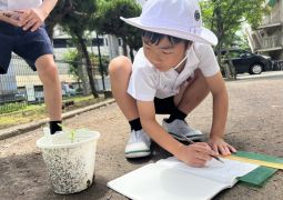 06.06 見てよ!ここ!