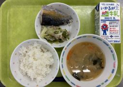6月26日(木)の給食