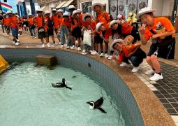 2025.07.04.臨海学舎24