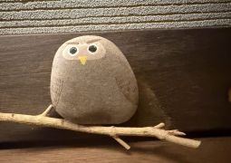 2025.07.02.臨海学舎13