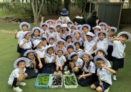 2025.07.11.　やさい大収穫！