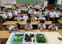 2025.07.24  　暑中見舞い申し上げます