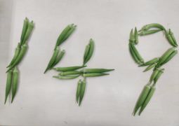 08.28　あなたの思い出は？