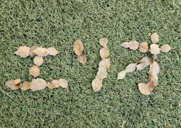 08.29　高速電波バースト