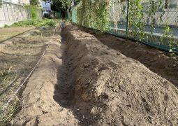 2025.09.19  夏なのに、冬に向けて