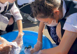 10.30    1（一生けんめい）4（白くなるように）5（ゴッシゴシ）