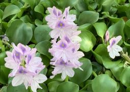 2025.10.23  お家の人に見てほしい！