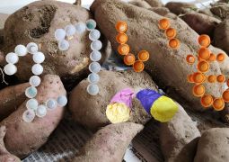 10.27　４度目の正直です！