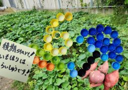 10.06　あっというま