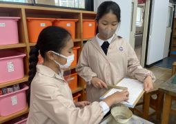 11.18　どんなあかりを灯そうか🔦