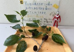 05.21.148牛窓林間学舎21