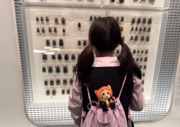 2026.05.06.修学旅行11