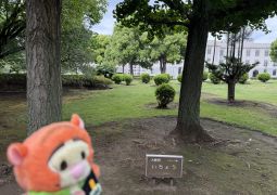 2026.05.08.修学旅行39