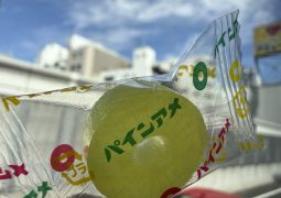 2026.05.20.林間学舎02
