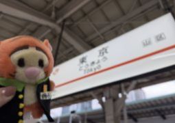 05.19. 芯