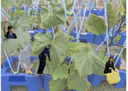 0626　こんな一日には・・・。