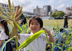 0629　観察カードコンテスト