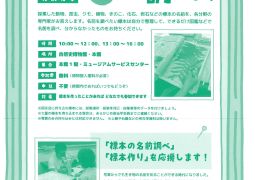 （お知らせ）大阪市立自然史博物館イベント