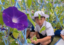 07.07 花に願いを。