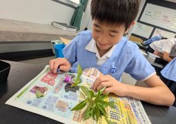 07.08. 雨降れば、水溜まり