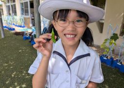 0713　大好き、夏野菜！