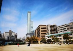 ひなまつジュニア会