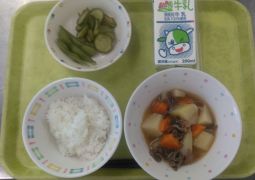 5月７日（火）今日の給食