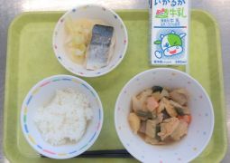 9月3日（火）今日の給食