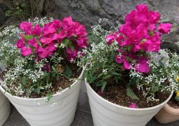 気持ちも明るく