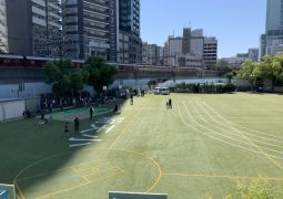 草刈り・枝切り・すっきりと