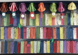 ７月　エントランス掲示作品