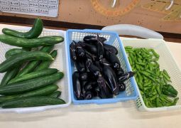 2025.07.07  今日も元気いっぱい全員集合！