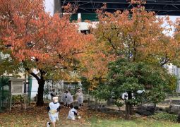 秋のファッションショー🍁