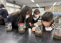 2025.11.18-19.地層ができるかな？