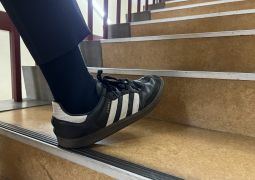 12.10 大人の階段