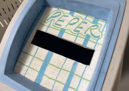 12.15.ひっそりと…