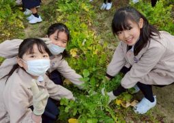 02.20　よっこいしょ！