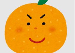 2026.02.26  今日は学校で・・・？!