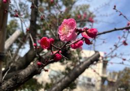 02.27. 写真があります！