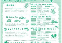 (お知らせ）大阪市立自然史博物館からのお知らせ