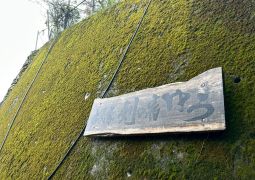 2026.04.15.STEAM Trip.26