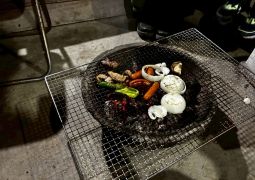 2026.04.15.STEAM Trip.32