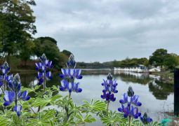 2026.04.15.STEAM Trip.03