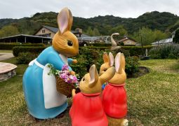 2026.04.15.STEAM Trip.05