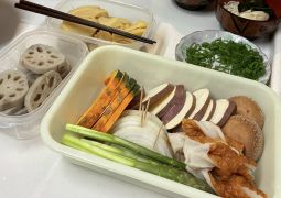 2026.04.15.STEAM Trip.31