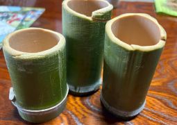 2026.04.15.STEAM Trip.25