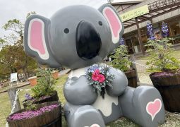 2026.04.15.STEAM Trip.06