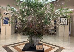 2026.04.16.STEAM Trip.52