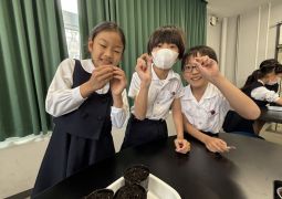 04.17. 今日で１週間（と2日）