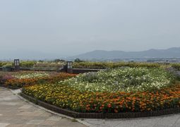 2026.06.30.臨海学舎02